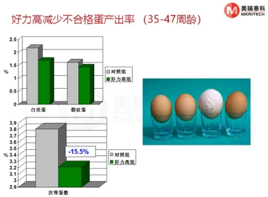 未命名_副本2.jpg 图片